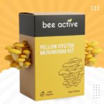 Yellow Oyster Mushroom Kit
