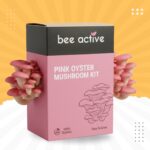 DYI Oyester Mushroom Kit Pack of 3 - Image 4
