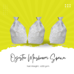 White Oyster Mushroom Spawn