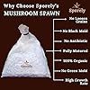 Bee Active Premium White Oyster Mushroom Spawn (600g) - Image 2