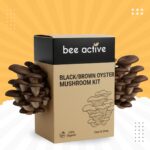 DYI Oyester Mushroom Kit Pack of 3 - Image 5