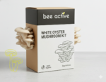 Organic White Oyster Mushroom Growing Kit - Image 3